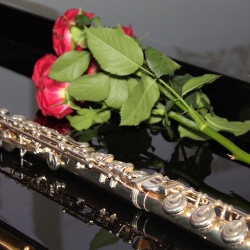 Культурно-просветительский проект "Музыкальная гостиная Дома Лосева", концерты и фестивали